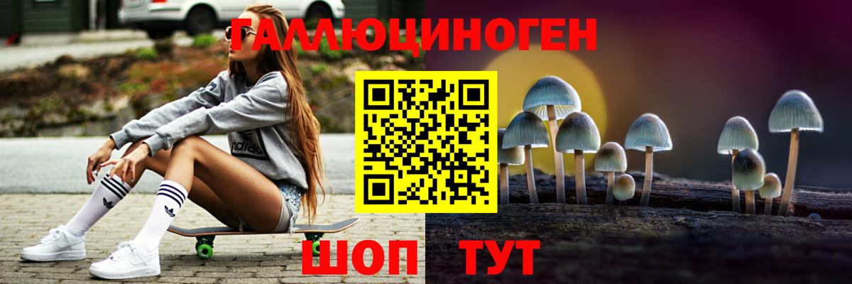 Псилоцибиновые грибы ЛСД  Галлюциногенные грибы Cubensis  Отрадный  Вход с VPN 