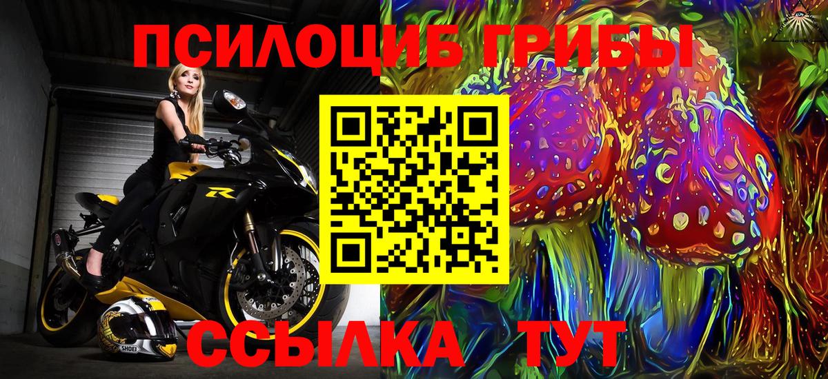 Псилоцибиновые грибы мицелий Отрадный